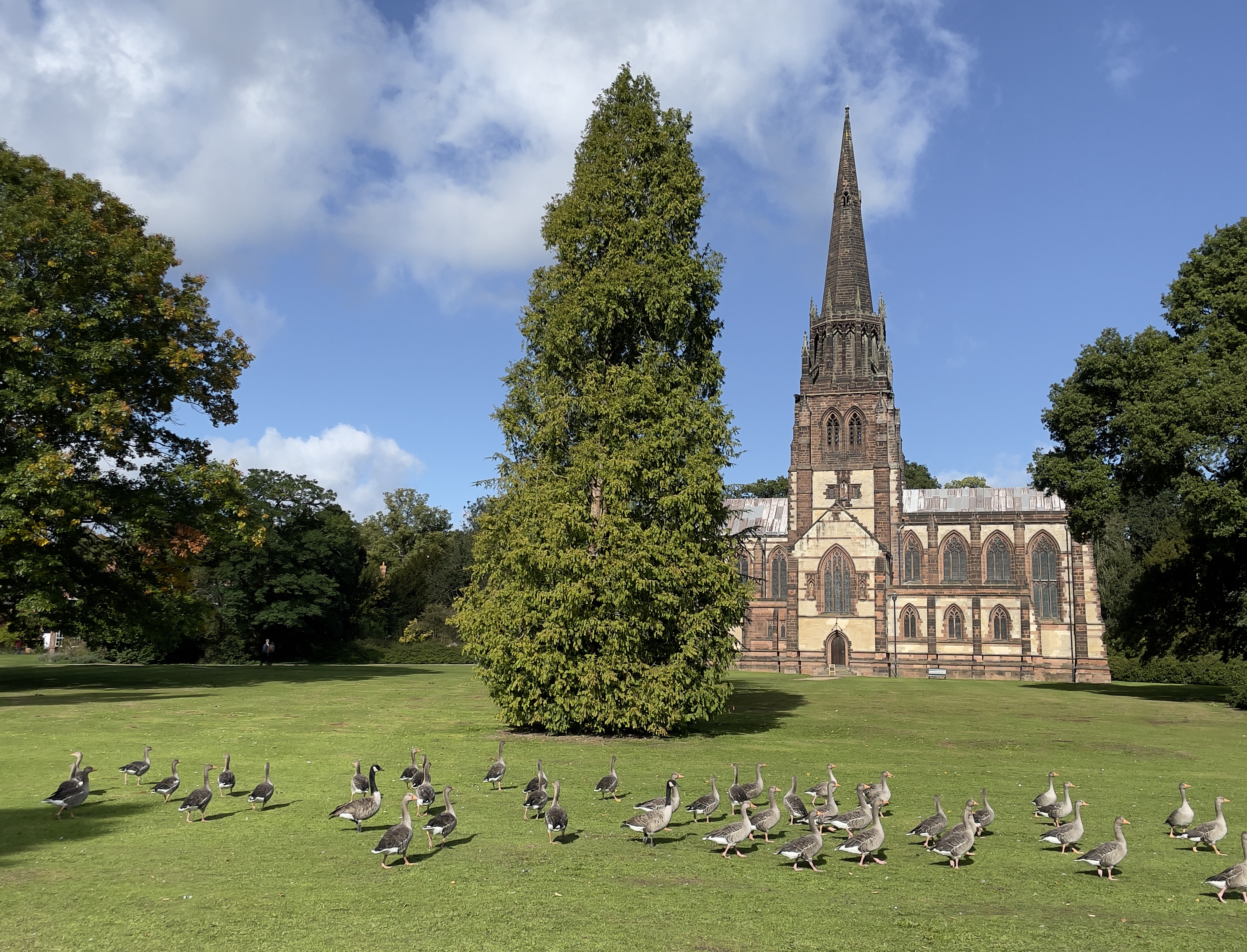 Clumber Park: A Complete Visitor's Guide to This National Trust Gem